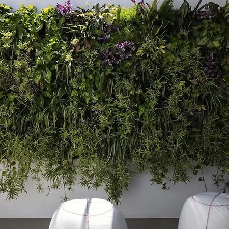 Elorhouse In The Charming Neighborhood Of Koumkapi Holiday home